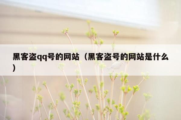 黑客盗qq号的网站（黑客盗号的网站是什么）