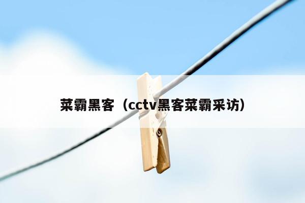 菜霸黑客（cctv黑客菜霸采访）