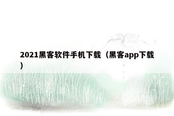 2021黑客软件手机下载（黑客app下载）