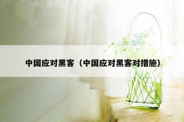 中国应对黑客（中国应对黑客对措施）