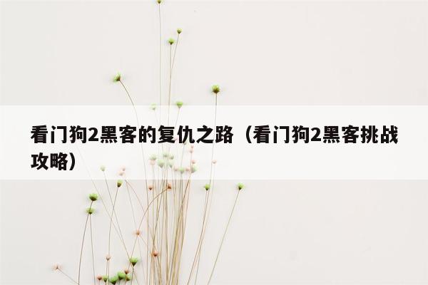 看门狗2黑客的复仇之路（看门狗2黑客挑战攻略）