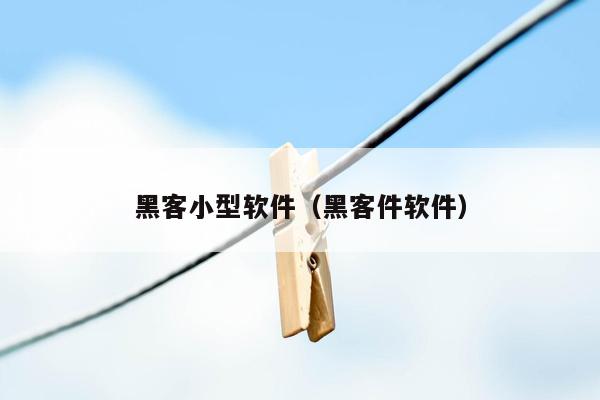 黑客小型软件（黑客件软件）