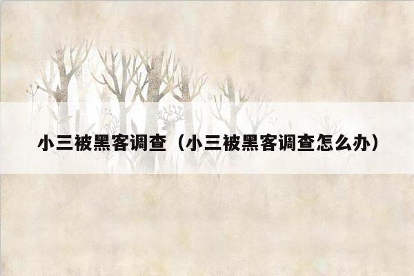 小三被黑客调查（小三被黑客调查怎么办）