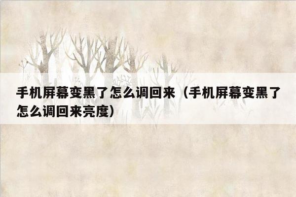 手机屏幕变黑了怎么调回来（手机屏幕变黑了怎么调回来亮度）