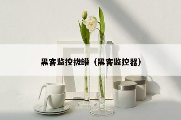 黑客监控拔罐（黑客监控器）