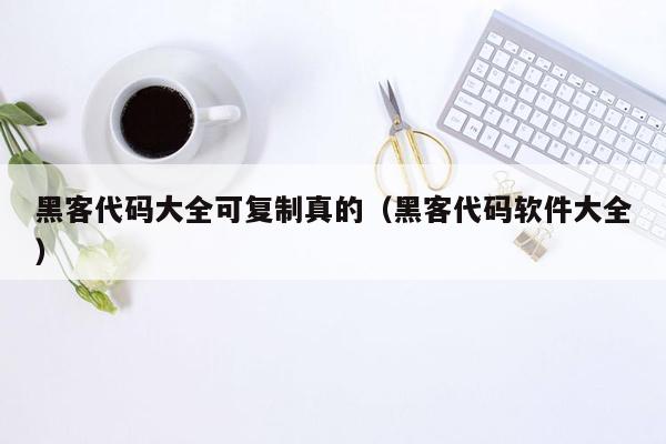 黑客代码大全可复制真的（黑客代码软件大全）