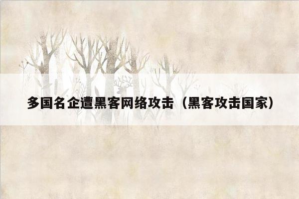 多国名企遭黑客网络攻击（黑客攻击国家）