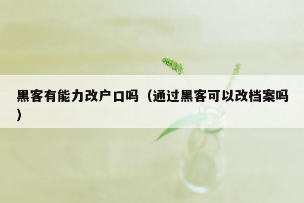 黑客有能力改户口吗（通过黑客可以改档案吗）