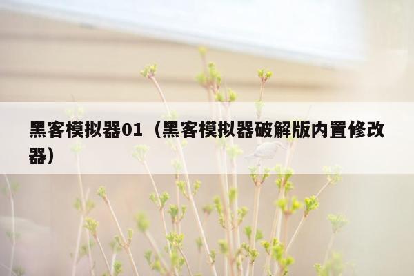 黑客模拟器01（黑客模拟器破解版内置修改器）