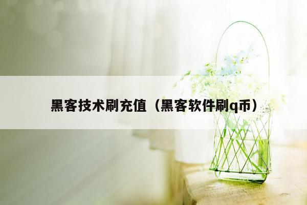 黑客技术刷充值（黑客软件刷q币）