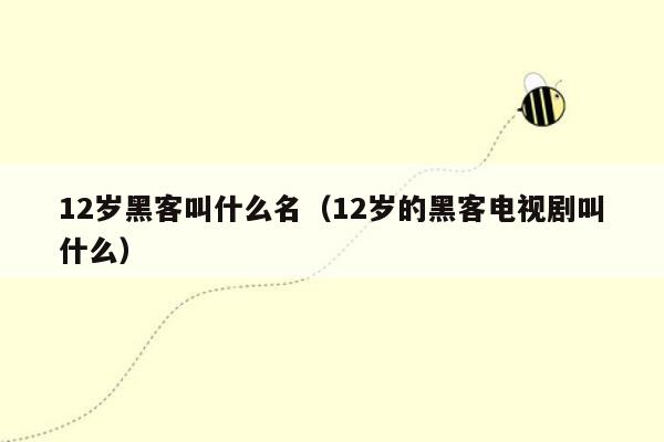 12岁黑客叫什么名（12岁的黑客电视剧叫什么）