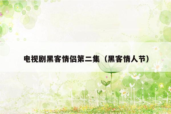 电视剧黑客情侣第二集（黑客情人节）