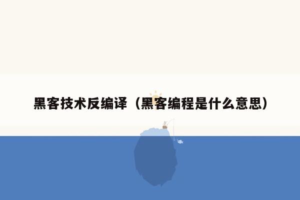 黑客技术反编译（黑客编程是什么意思）