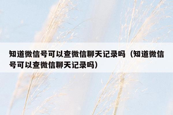 知道微信号可以查微信聊天记录吗（知道微信号可以查微信聊天记录吗）