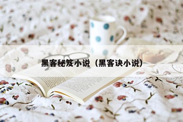 黑客秘笈小说（黑客诀小说）