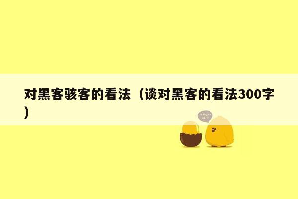 对黑客骇客的看法（谈对黑客的看法300字）