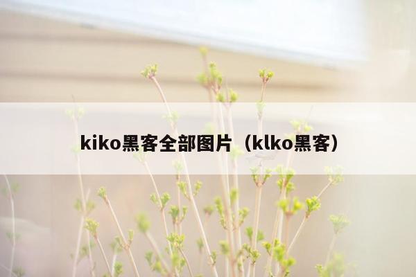 kiko黑客全部图片（klko黑客）