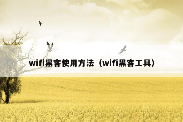 wifi黑客使用方法（wifi黑客工具）