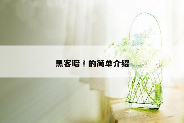 黑客暗網的简单介绍