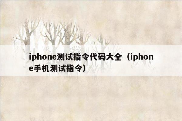iphone测试指令代码大全（iphone手机测试指令）