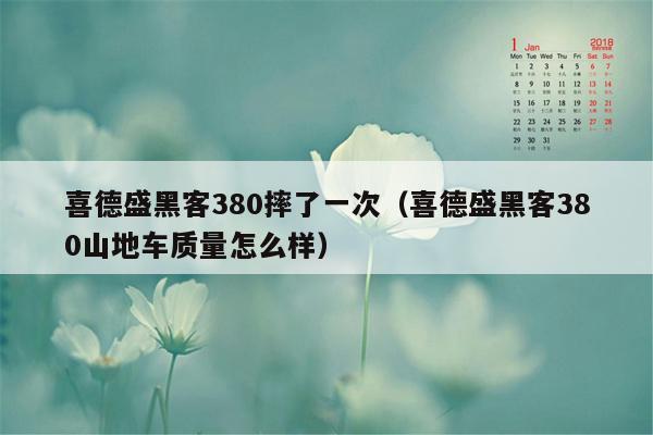 喜德盛黑客380摔了一次（喜德盛黑客380山地车质量怎么样）