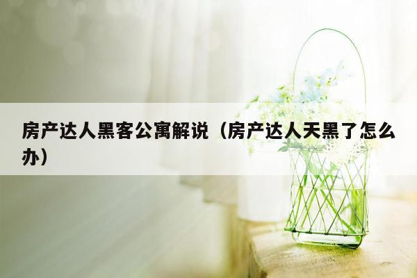 房产达人黑客公寓解说（房产达人天黑了怎么办）