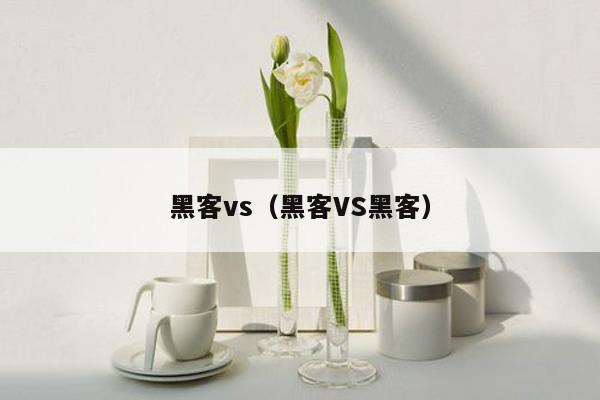 黑客vs（黑客VS黑客）