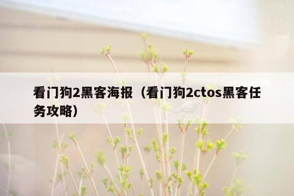 看门狗2黑客海报（看门狗2ctos黑客任务攻略）