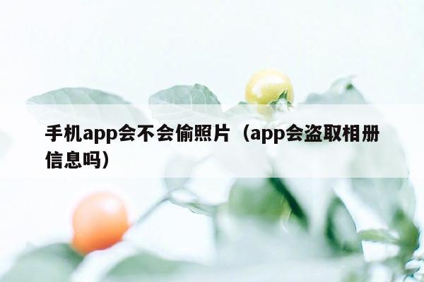 手机app会不会偷照片（app会盗取相册信息吗）