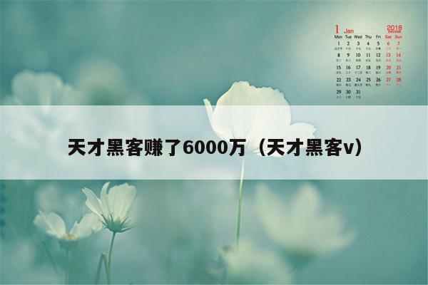 天才黑客赚了6000万（天才黑客v）