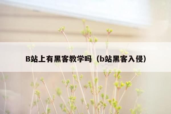 B站上有黑客教学吗（b站黑客入侵）