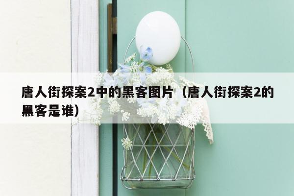 唐人街探案2中的黑客图片（唐人街探案2的黑客是谁）