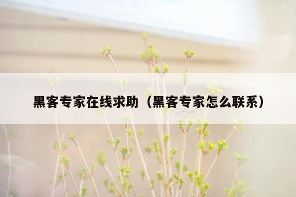 黑客专家在线求助（黑客专家怎么联系）