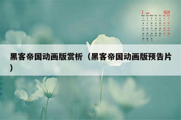 黑客帝国动画版赏析（黑客帝国动画版预告片）