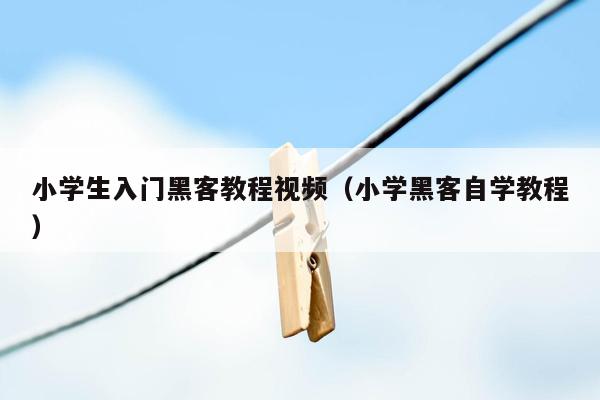 小学生入门黑客教程视频（小学黑客自学教程）