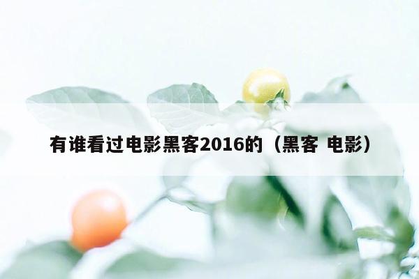 有谁看过电影黑客2016的（黑客 电影）
