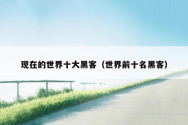 现在的世界十大黑客（世界前十名黑客）