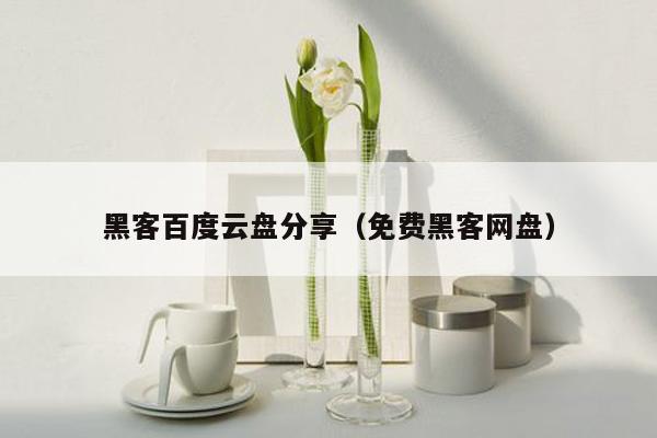 黑客百度云盘分享（免费黑客网盘）