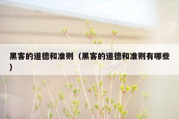 黑客的道德和准则（黑客的道德和准则有哪些）