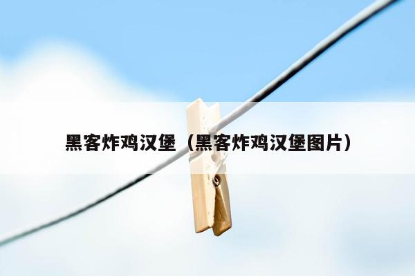 黑客炸鸡汉堡（黑客炸鸡汉堡图片）