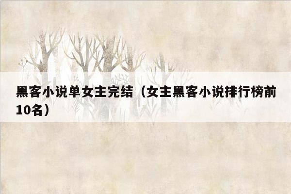 黑客小说单女主完结（女主黑客小说排行榜前10名）