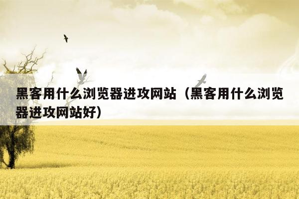 黑客用什么浏览器进攻网站（黑客用什么浏览器进攻网站好）