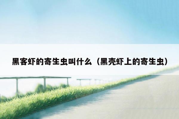 黑客虾的寄生虫叫什么（黑壳虾上的寄生虫）