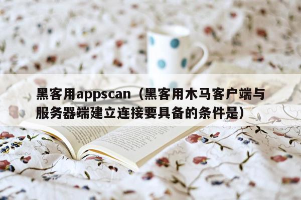 黑客用appscan（黑客用木马客户端与服务器端建立连接要具备的条件是）