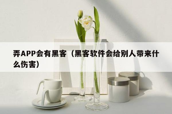 弄APP会有黑客（黑客软件会给别人带来什么伤害）