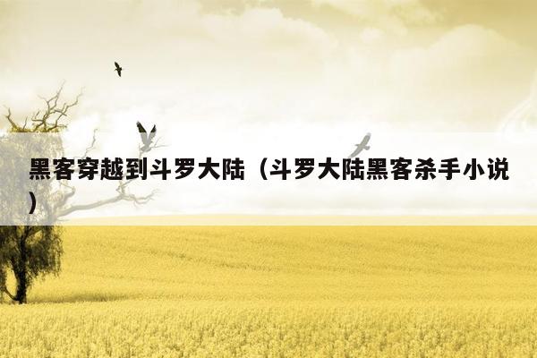 黑客穿越到斗罗大陆（斗罗大陆黑客杀手小说）