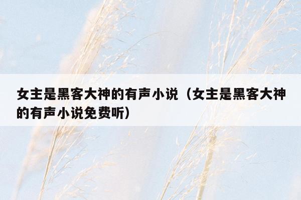女主是黑客大神的有声小说（女主是黑客大神的有声小说免费听）