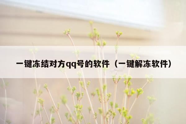 一键冻结对方qq号的软件（一键解冻软件）