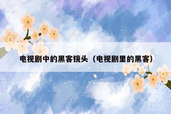 电视剧中的黑客镜头（电视剧里的黑客）