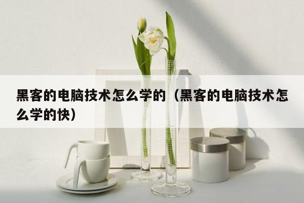 黑客的电脑技术怎么学的（黑客的电脑技术怎么学的快）